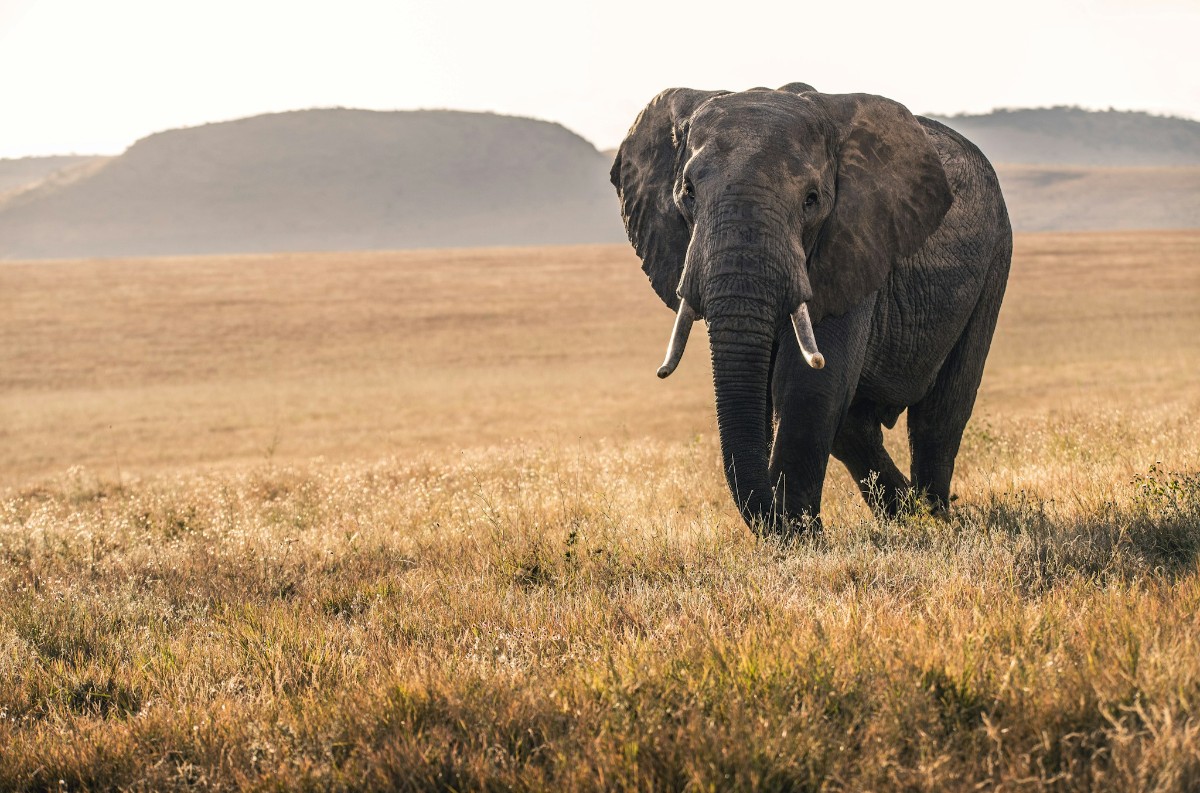kenia3