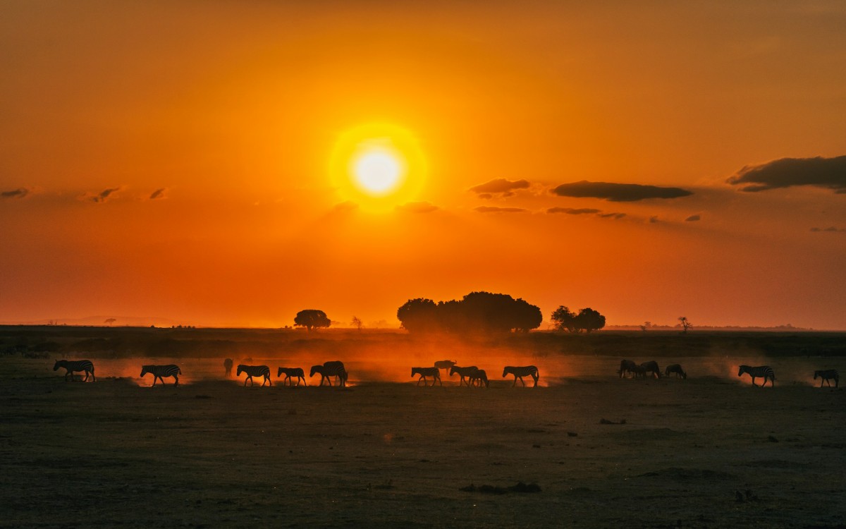 kenia7 0