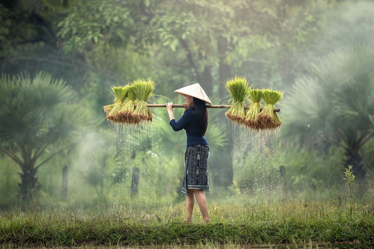 vietnam 0