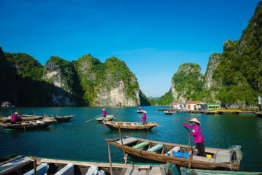 vietnam web